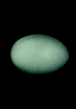 Oval Power Grip Ball - Dark Teal